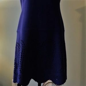 Career 👜 Ann Taylor Dress